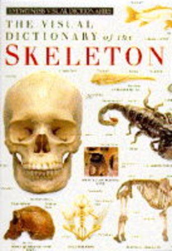 Visual Dictionary of the Skeleton (Eyewitness Visual Dictionaries S.) von Dorling Kindersley Publishers Ltd